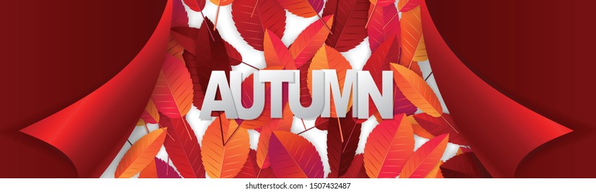 Autumn banner or website header design concept with peeling off wrapping paper and red and orange leaves on white background. Vector illustration.