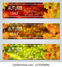 Autumn banners design vector templates collection