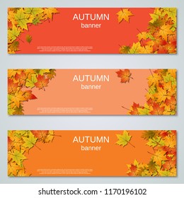 Autumn banners design vector templates collection