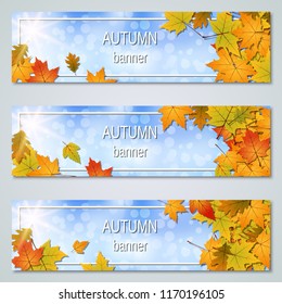 Autumn banners design vector templates collection