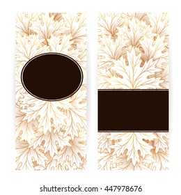 Autumn banners with fall maple tree leaves. Vector vertical flyer template.