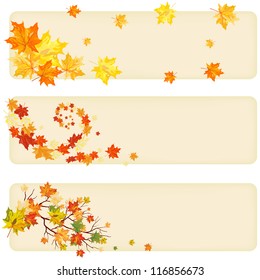 Autumn  Banners With Falling  Maple Leaves and Tree Brunch. Elegant Cute Design Ideal Balanced Colors. Set of Three Labels With Copy Space. Vector Illustration. 