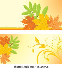 Autumn banners with maple and ash leaves. Vector