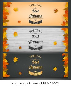 Autumn banners set. Autumn Sale. Background with falling leaves. Vector illustration
