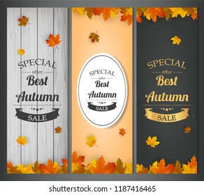 Autumn banners set. Autumn Sale. Background with falling leaves. Vector illustration