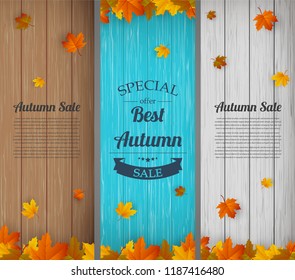 Autumn banners set. Autumn Sale. Background with falling leaves. Vector illustration
