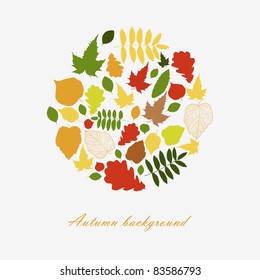 Autumn beautiful background ecology image with your text (vector version eps 8)