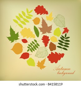 Autumn beautiful background with your text (vector version eps 8)