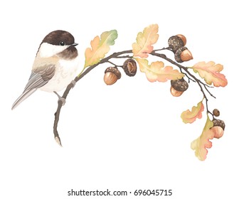 Autumn beautiful frame with bird Black-capped Chickadee, acorns, oak branches and leaves. Vector illustration in vintage watercolor style.