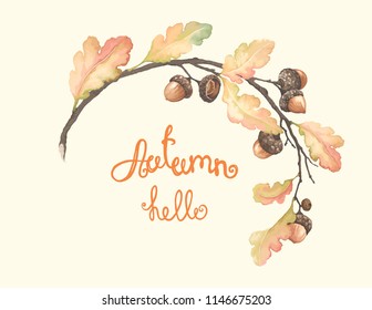 Autumn beautiful frame with oak branch, acorns and leaves. Vector illustration in vintage watercolor style.