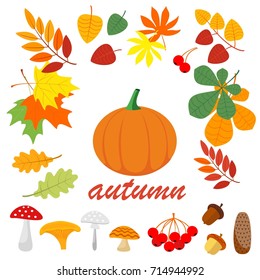 Autumn beautiful natural materials. Leaflets, mushrooms, twigs, cones, acorns, grass