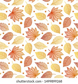 Autumn beautiful seamless pattern with maple leaves, poplar birch-vector illustration. On a white background autumn leaves maple birch and poplar with.