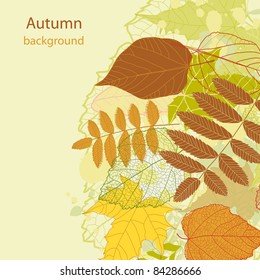 Autumn beauty seamless background with your text (vector version eps 8)