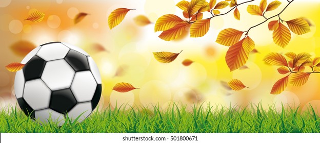 Autumn beech foliage with football, sunlights and bokeh background.  Eps 10 vector file.