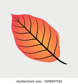 Autumn Beech Leaf icon. Cartoon of sickle vector icon for web design isolated on gray background - Vector