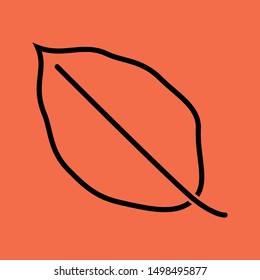 Autumn Beech Leaf icon isolated on green background.