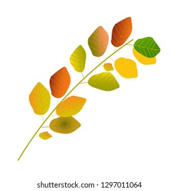 Autumn beech leaf useful, editable. And printable Perfect for use in a wide range of new media templates: can be used as greeting card, invitation card for wedding, birthday and other holiday etc.