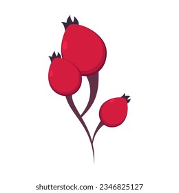 Herbstbeeren oder Blumen, flache Vektorgrafik. Cartoon Zeichnung von floralem Herbstelement, rote Beeren. Herbstdekoration, Naturkonzept
