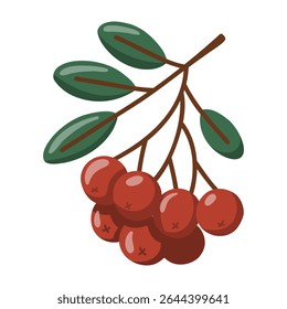 Bagas de outono com ramo de folhas verdes. Elemento botânico sazonal. Ilustração isolada de vetor de desenhos animados sobre fundo branco