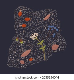 Autumn berries and natural plants. Vector drawing of a red berry in a doodle circle. Seasonal flowers and leaves for design. Vector illustration