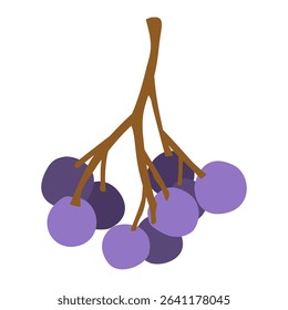 Autumn Berry Icons - Stylish Purple and Blue Fruit Clip Art