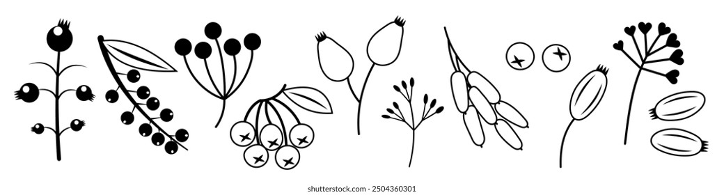 Autumn Berry Set. Black and white outline icons of berries. Drawing cute cosy design elements. Autumn, Thanksgiving