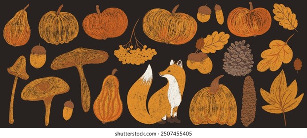 Autumn big chalk drawing set. Pencil texture childish fall elements collection: oak, maple leaf, mushroom, acorn, rowan, pumpkin, fox, pine cone. Crayon textured kids isolated vector illustration 