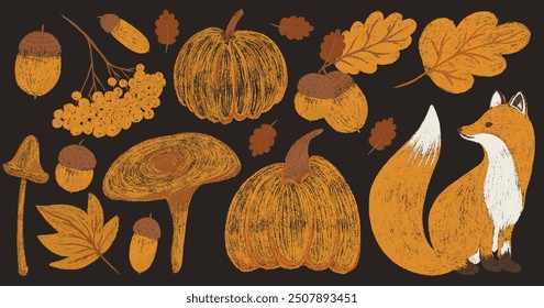 Autumn big chalk drawing set. Pencil texture childish fall elements forest collection: oak, maple leaf, mushroom, acorn, rowan, pumpkin, fox. Crayon textured freehand kids isolated vector illustration