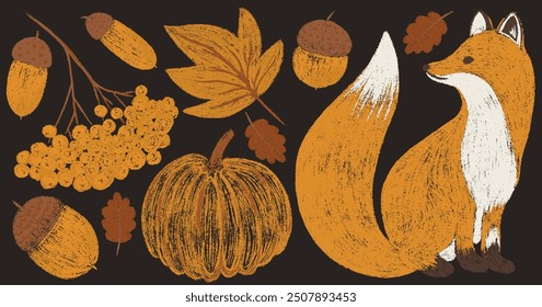 Conjunto de dibujo de tiza grande de otoño. Textura de lápiz Elementos de otoño infantil colección forestal: roble, hoja de arce, bellota, serbal, calabaza, zorro. Crayón texturizado a mano alzada niños aislados Ilustración vectorial 