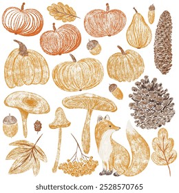 Autumn big chalk drawing set. Pencil texture childish fall elements collection: oak, maple leaf, mushroom, acorn, rowan, pumpkin, fox, pine cone. Crayon textured kids isolated vector illustration