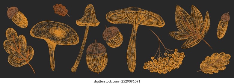 Autumn big chalk drawing set. Pencil texture childish fall aesthetic elements forest collection: oak, maple leaf, mushroom, acorn, rowan. Crayon textured freehand kids isolated vector illustration