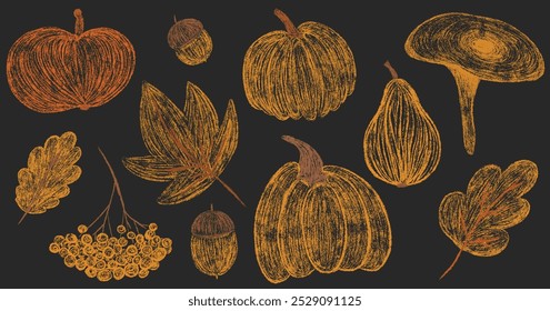 Autumn big chalk hand drawing set. Pencil texture childish fall elements forest collection: oak, maple leaf, mushroom, acorn, rowan. Crayon textured freehand kids isolated vector illustration