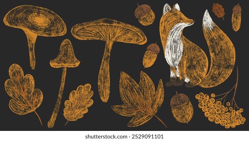 Autumn big chalk hand drawn set. Pencil texture childish fall elements forest collection: oak, maple leaf, mushroom, acorn, rowan, fox. Crayon textured freehand kids isolated vector illustration