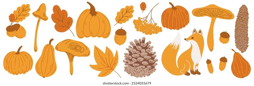 Autumn big hand drawing set. Flat doodle childish fall elements collection: oak, maple leaf, mushroom, acorn, rowan, pumpkin, fox, pine cone. Simple aesthetic kids drawn isolated vector illustration