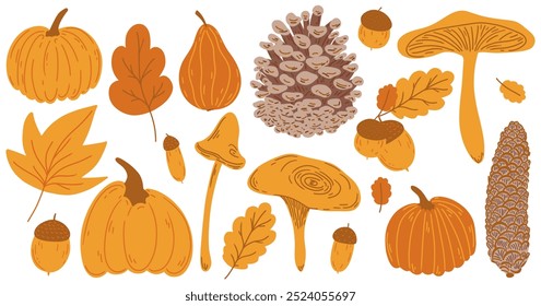 Autumn big hand drawing set. Flat doodle childish orange fall elements collection: oak, maple leaf, mushroom, acorn, rowan, pumpkin, pine cone. Simple aesthetic kids drawn isolated vector illustration