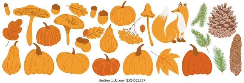 Autumn big hand drawing set. Flat doodle childish fall elements collection: oak, maple leaf, mushroom, acorn, rowan, pumpkin, fox, pine cone, Xmas fir tree. Simple drawn isolated vector illustration