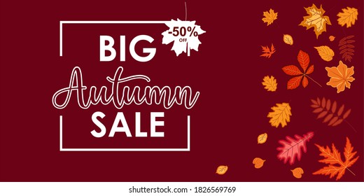 Autumn Big Sale background. seasonal concept vector for advertising