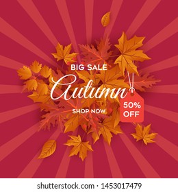Autumn big sale leaves background vector illustration