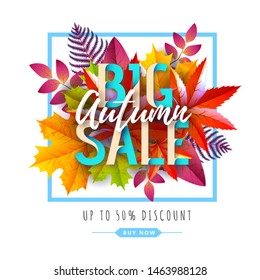 Autumn big sale typography poster with autumn leaves. Nature concept
