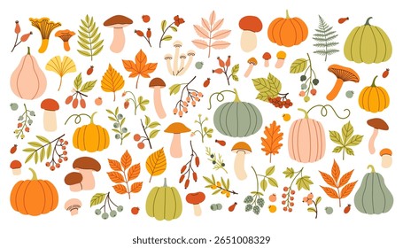 Grande set de outono. Elementos de queda de conjunto de vetores desenhados à mão. Folhas de outono, cogumelos, bordo, bagas, carvalho, abóboras. Hora da colheita. Ilustração colorida na moda. Autocolantes florais de outono. 