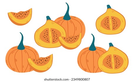 Autumn big set of orange ripe pumpkin