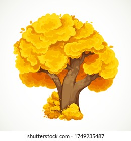Autumn big tall tree with yellow foliage vector drawing isolated on white background