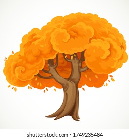 Autumn big tree with orange lush  foliage vector drawing isolated on white background