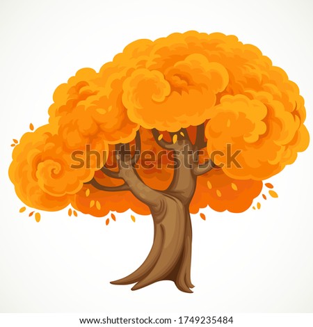 Autumn big tree with orange lush  foliage vector drawing isolated on white background