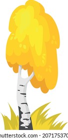 Autumn birch. Cartoon fall tree with yellow leaf, vector design isolated on white background