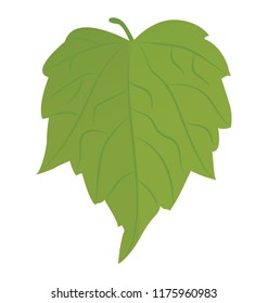 
An autumn birch leaf also called fallen leaves 

