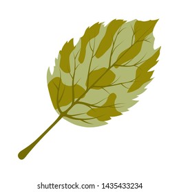 Autumn Birch Leaf. Fall Collection. Vector illustration.