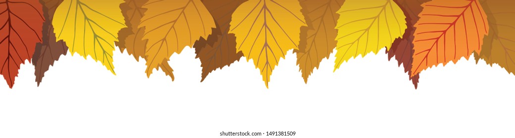 Autumn birch leaves on a white background, vector illustration