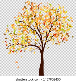 Autumn birch tree with  falling leaves background. Vector illustration.