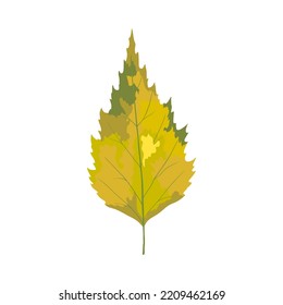 Autumn birch tree leaf. Leaf fall. Vector illustration.
